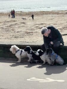 Dogs at the beach Wellington Wealth Dream Plan Enjoy